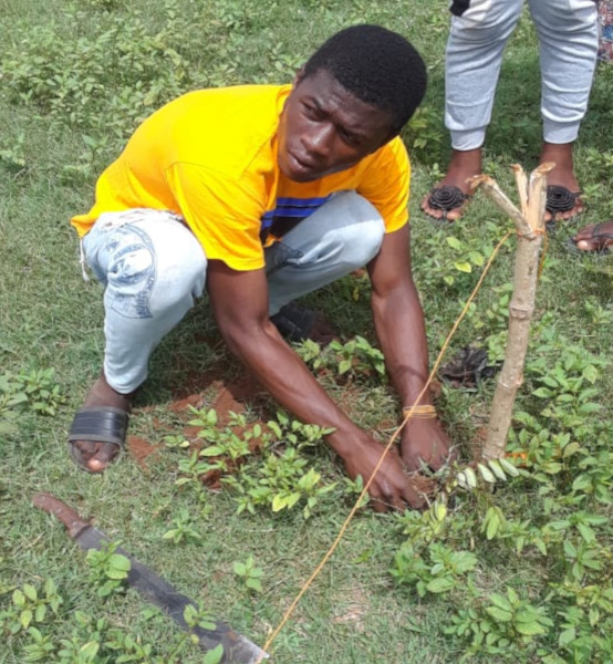 Kintampo Municipality launches Green Ghana Project