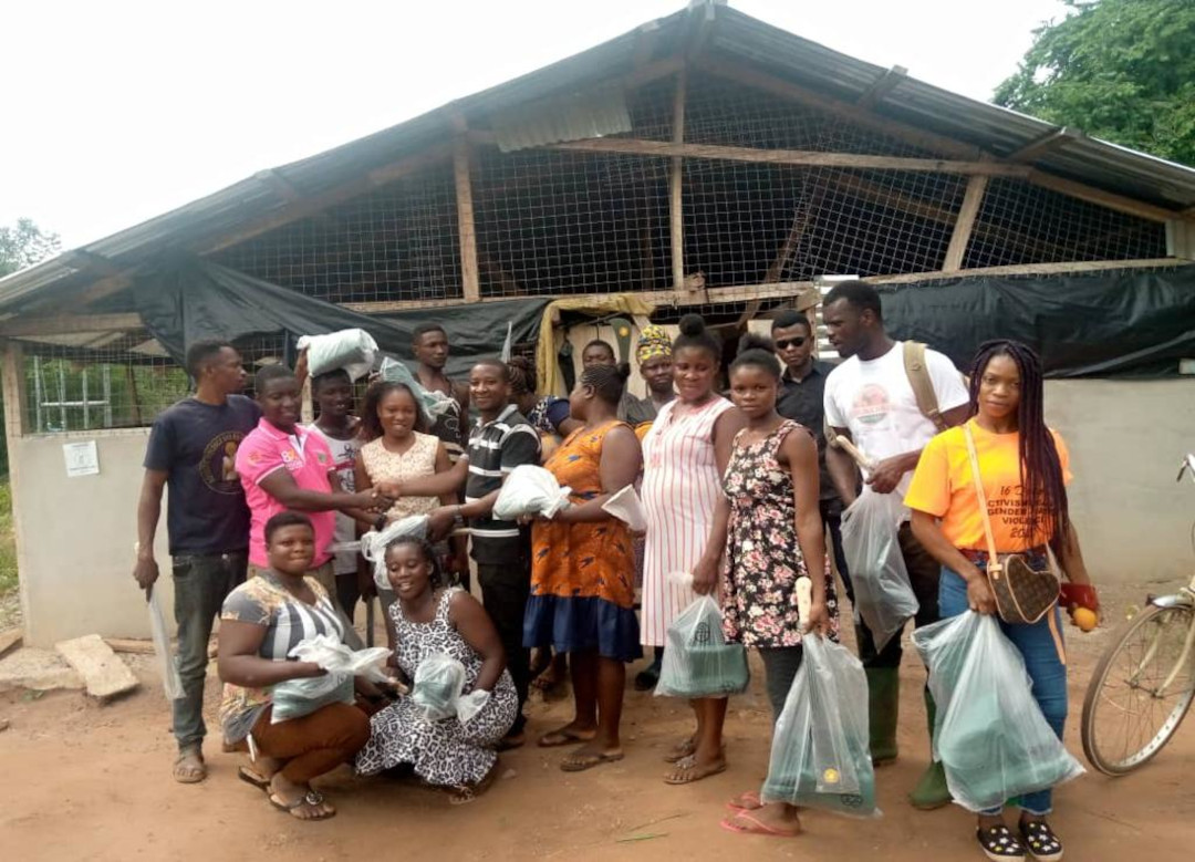 NYA (Nkoranza North District) in collaboration with VIS MENTORSHIP FARM is Training youth in green house farming and animals rearing